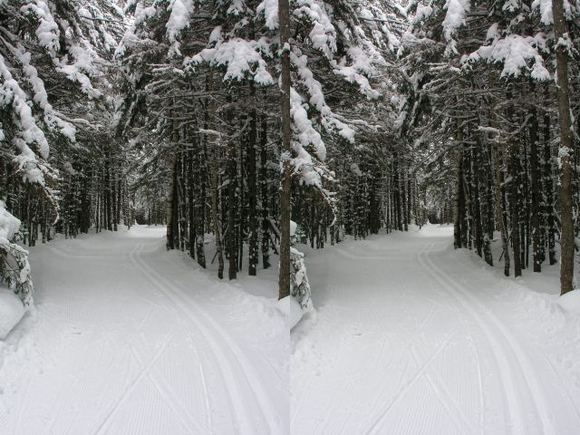 Wood Cross Country Skis. Cross-country ski trail,
